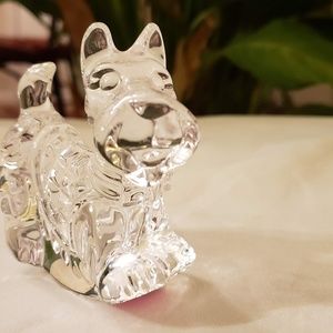 Princess House "Wonders of the Wild Collection" Sc